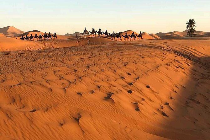 3 Days Luxury Desert Tour from Marrakesh Morocco - Final Thoughts: Who Is This Tour Best For?