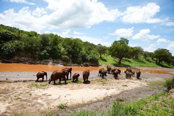 3 days Luxury Safari Tour in Tanzania - Key Points