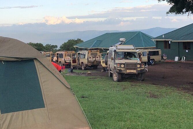 3 days Luxury Safari Tour in Tanzania - Who Is This Tour For?