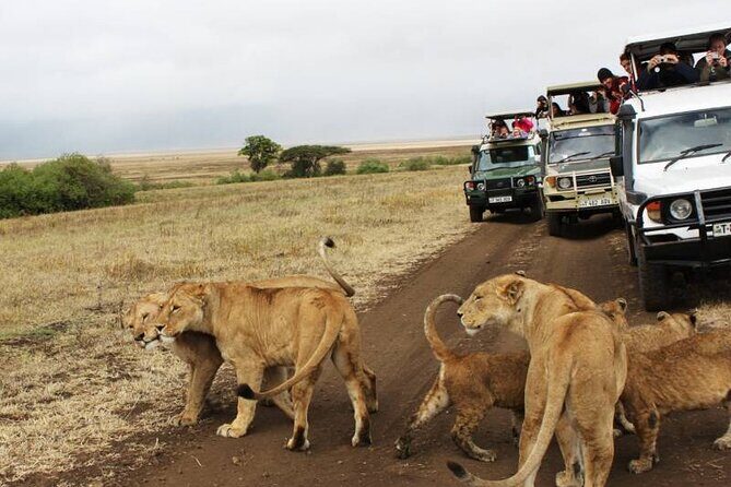 3 days Luxury Safari Tour in Tanzania - Final Thoughts