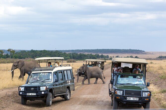 3 days Luxury Safari Tour in Tanzania - FAQ