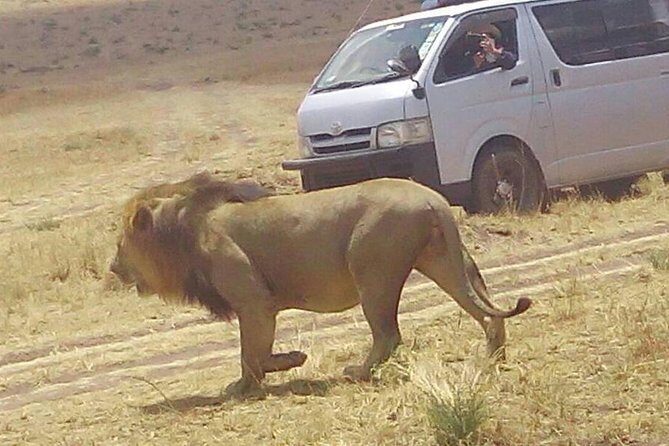 3 Days Maasai Mara Budget Group Safari - Day 1: Arrival and Introduction to Maasai Mara
