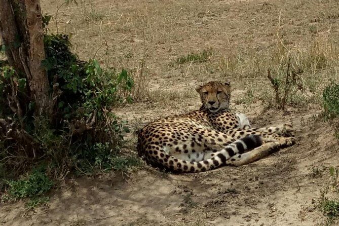 3 Days Maasai Mara Budget Group Safari - Practicalities & Whats Included