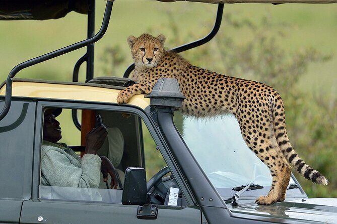 3-Days Maasai Mara Camping Safari on 4x4 Land Cruiser Jeep - Discovering the Maasai Mara: A Practical 3-Day Camping Safari Review