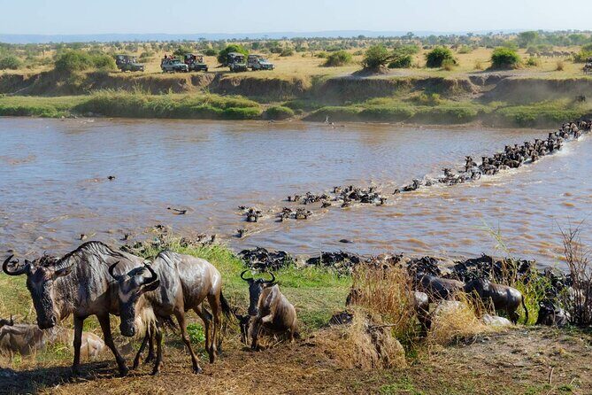 3-Days Maasai Mara Camping Safari on 4x4 Land Cruiser Jeep - Final Words