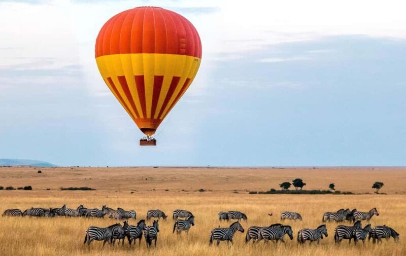 3 Days Maasai Mara Guided Safari from Nairobi - Introduction: A Closer Look at the Maasai Mara Safari
