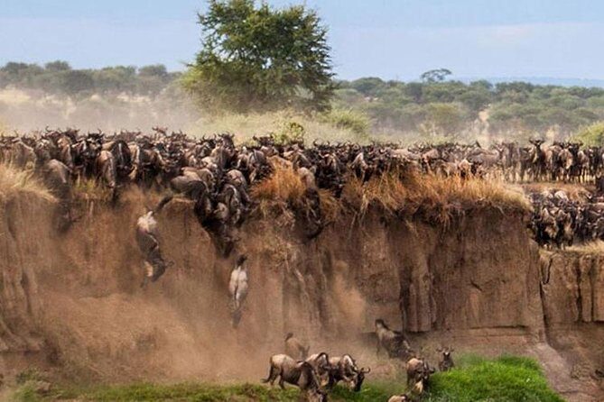 3 Days Maasai Mara Guided Safari from Nairobi - A Closer Look at the Safari Experience
