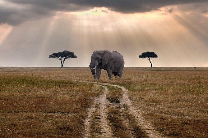 3 days Maasai Mara private Lodge safari at Keekorok from Nairobi - FAQ