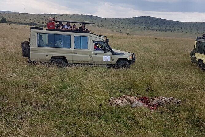 3 Days Maasai Mara Private Safari - FAQs