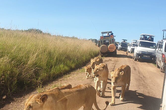 3 Days Maasai Mara Private Safari to Keekorok Lodge from Nairobi - Who Should Consider This Safari?
