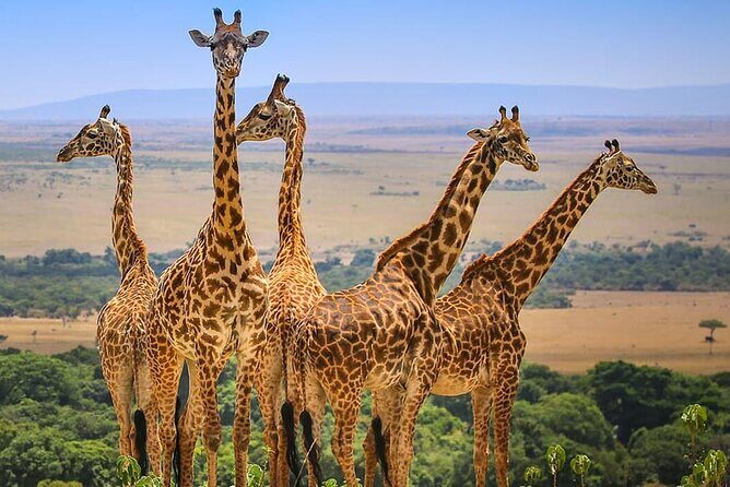 3 Days Maasai Mara Safari - FAQ