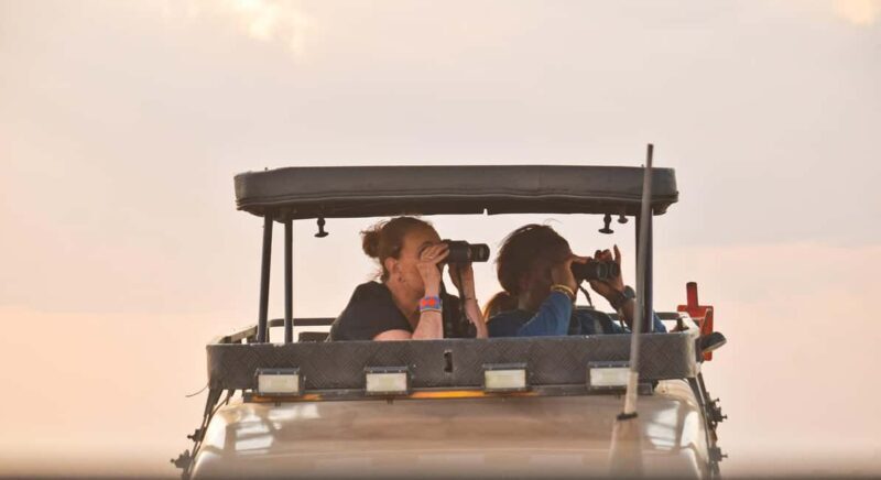 3 Days Maasai Mara Small Group Safari- Jambo Mara Lodge - What to Expect from the 3-Day Maasai Mara Safari