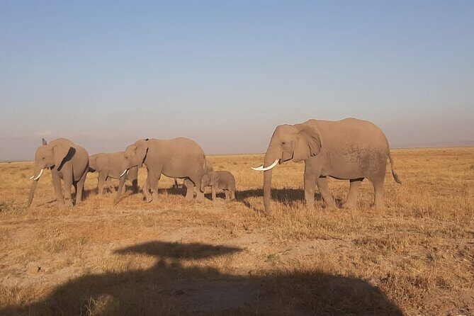 3-Days Maasai Mara unforgettable Adventure- Jeep Private Safari - Final Words