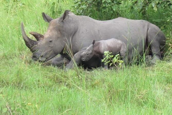 3 Days magical Murchison falls safari - What’s Included and What’s Not