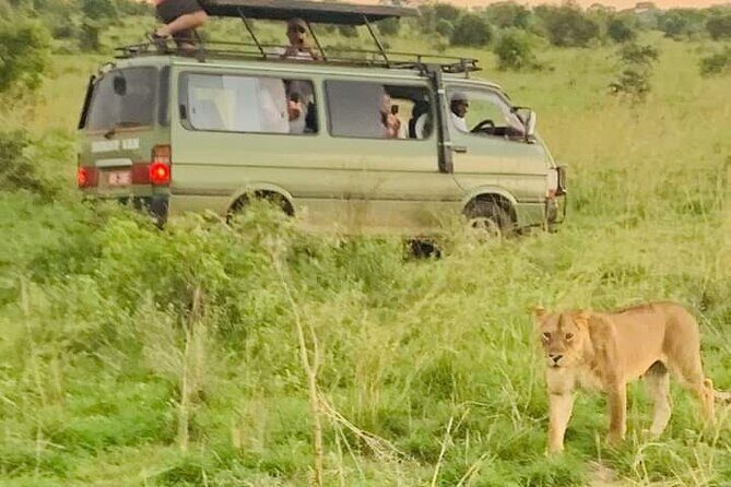3 Days magical Murchison falls safari - Insights From Past Travelers
