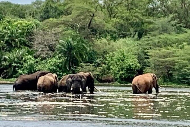 3 Days magical Murchison falls safari - Why This Tour Is a Great Choice