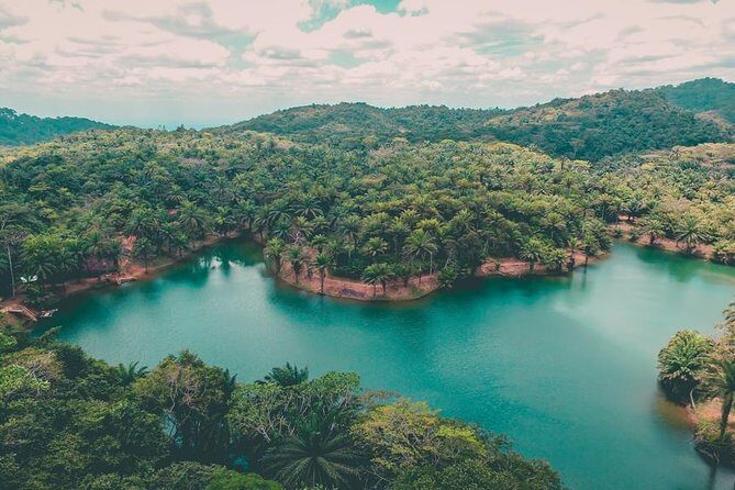 3 Days Magoroto forest tour - An In-Depth Look at the 3-Day Experience