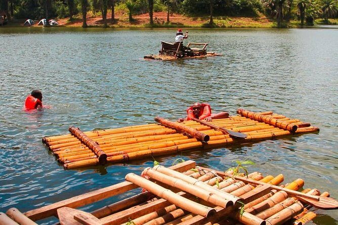 3 Days Magoroto forest tour - Final Thoughts: Is the Magoroto Forest Tour Worth It?