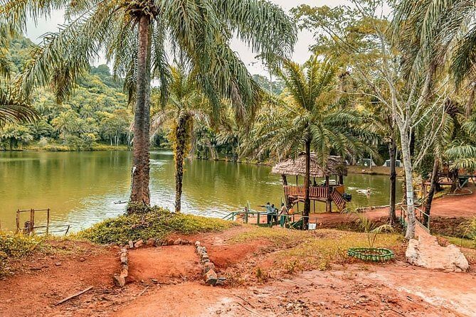 3 Days Magoroto forest tour - FAQ