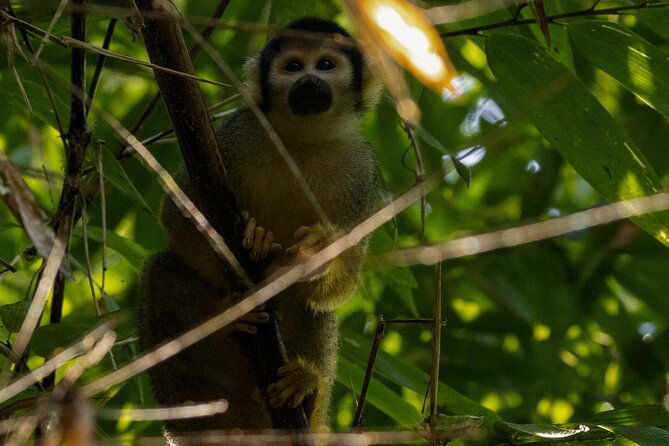 3-days-manu-park-tour-with-accommodation