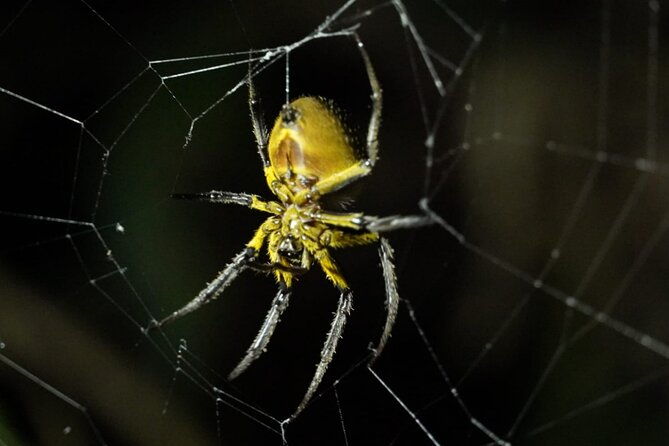 3-days-manu-park-tour-with-accommodation