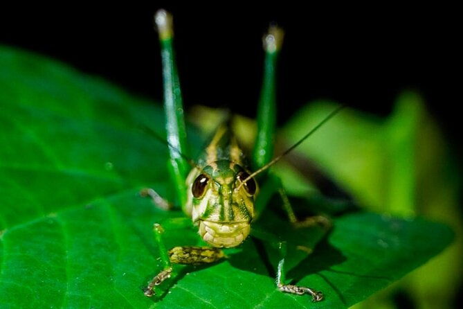 3-days-manu-park-tour-with-accommodation