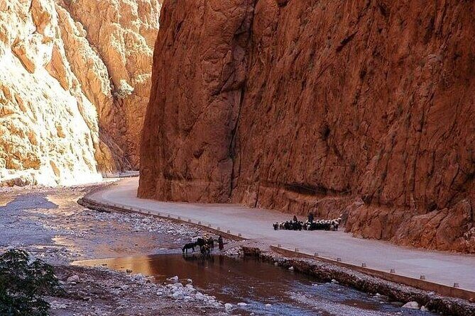 3 Days Marrakech Desert Tour, Luxury Camp, Camel Trekking Tour - Key Points