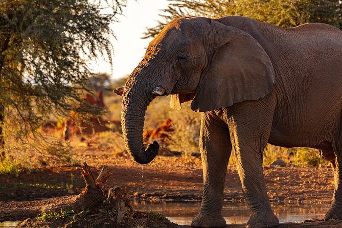 3 Days Masai Mara - Key Points