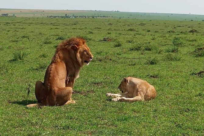 3 Days Masai Mara Budget Camping Safari Experience - The Sum Up
