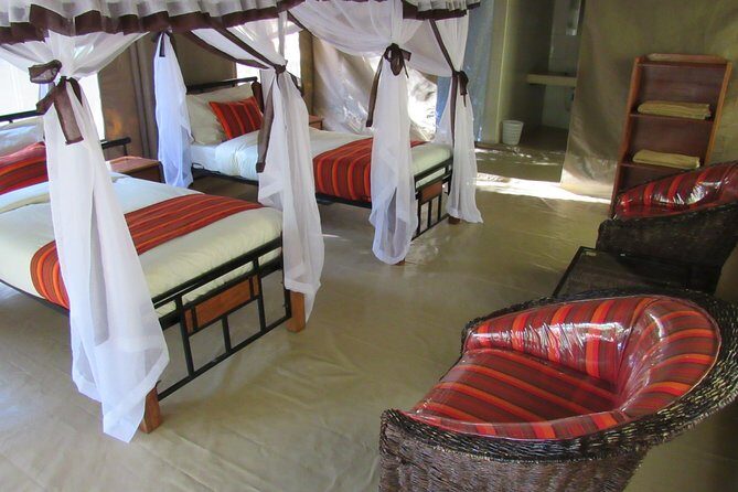 3 Days Masai Mara Budget Safari - Key Points 