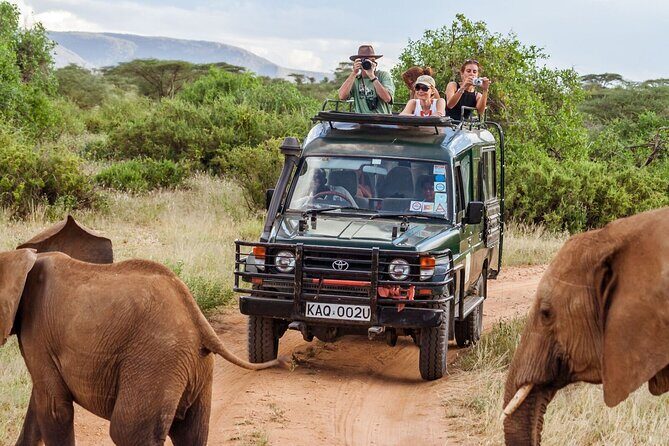 3 Days Masai Mara Budget safari Meals and accommodation included - The Itinerary: What You’ll Experience