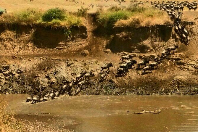 3 Days Masai Mara Budget safari Meals and accommodation included - Cost & Value Analysis