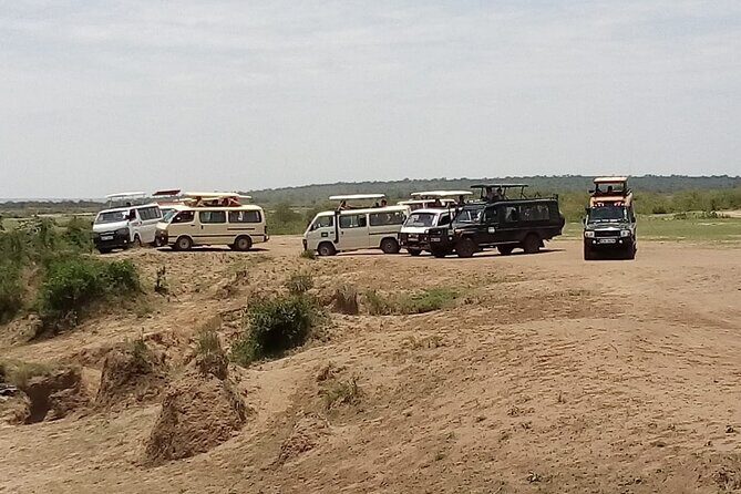 3 Days Masai Mara Budget safari Meals and accommodation included - The Sum Up