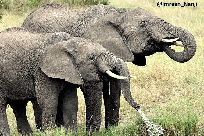 3 Days Masai Mara Camping Safari - Frequently Asked Questions