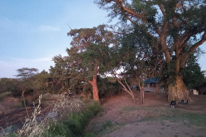 3-days-masai-mara-camping-safari