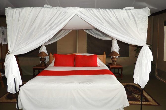 3 days Masai Mara - Key Points