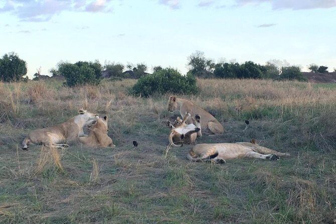 3 days Masai Mara - Who Should Consider This Tour?