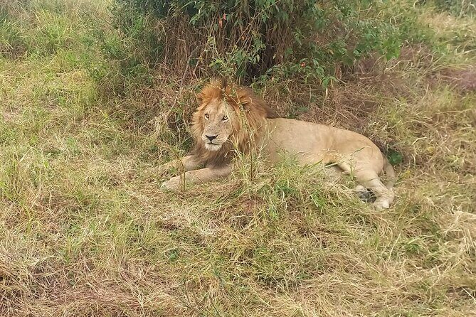 3 Days Masai Mara Experience - FAQ