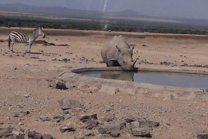 3 Days Masai Mara Experience - FAQ: Your Questions Answered  