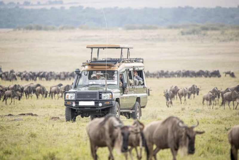 3 Days Masai Mara Gamedrive Safari on 4x4 Landcruiser Jeep - FAQs