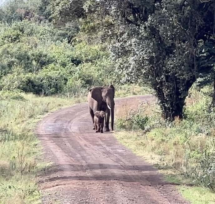 3 Days Masai mara Group joing tour - Final Thoughts: Who Will Love This Tour?