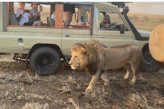 3 Days Masai Mara Jeep Safari - Key Points