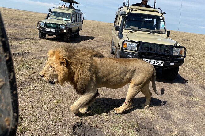 3 Days Masai Mara Jeep Safari - Final Thoughts: Who Will Love This Safari?