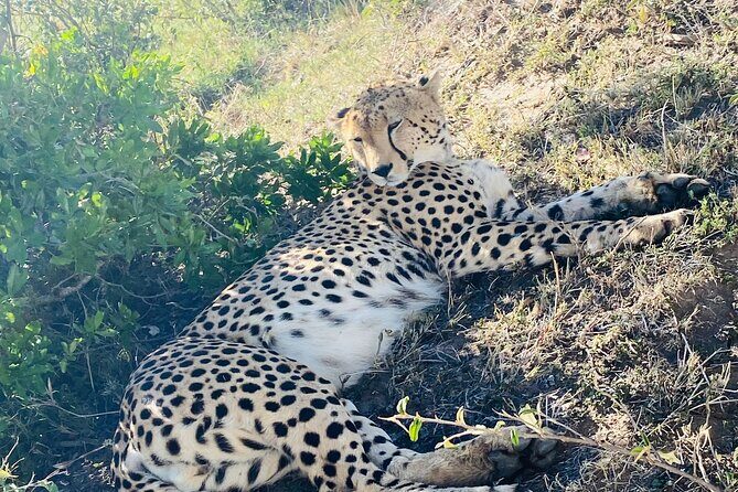 3 Days Masai Mara Jeep Safari - Final Summary