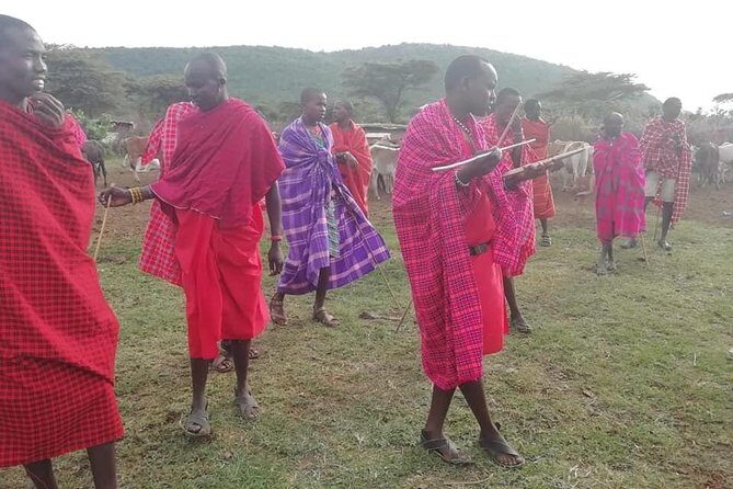 3 Days Masai Mara Joining Safari (lenchada) - What to Expect from This 3-Day Masai Mara Safari