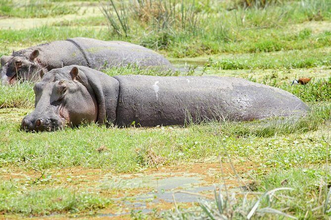 3 Days Masai Mara National Reserve Safari - FAQs