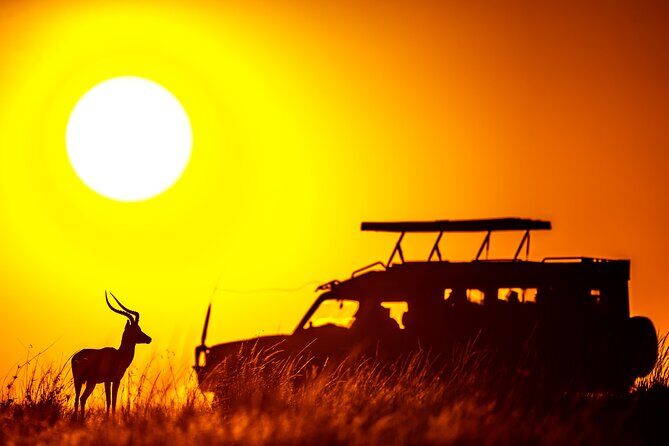 3 days Masai Mara on Private 4x4 Land Cruiser - The Value of Guided, Private Tours
