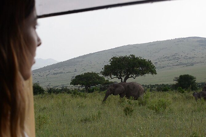 3 days Masai Mara on Private 4x4 Land Cruiser - The Sum Up