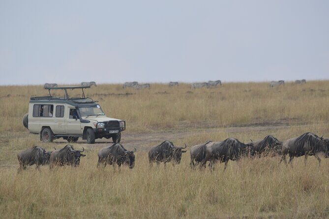 3-Days Masai Mara Rhythms Safari - Authenticity and What Sets It Apart