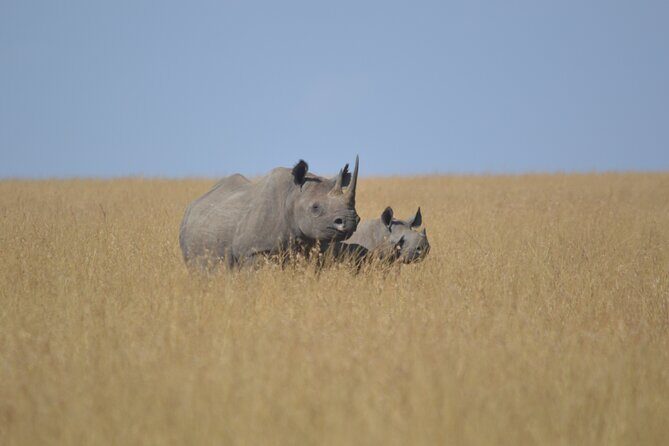 3-Days Masai Mara Rhythms Safari - Who Will Love This Safari?
